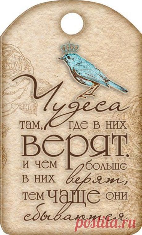 Диалоги
