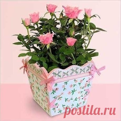 (1) Одноклассники