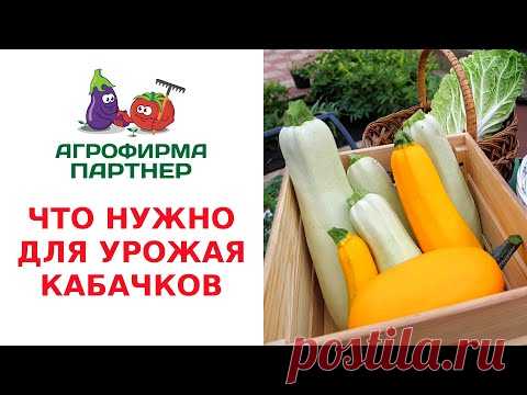 ЧТО НУЖНО ДЛЯ УРОЖАЯ КАБАЧКОВ