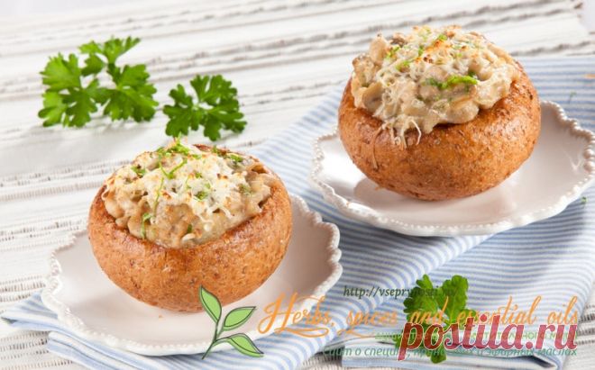 САЛАТЫ И ЗАКУСКИ НА НОВЫЙ ГОД 2017 — САМЫЕ ВКУСНЫЕ И КРАСИВЫЕ РЕЦЕПТЫ.