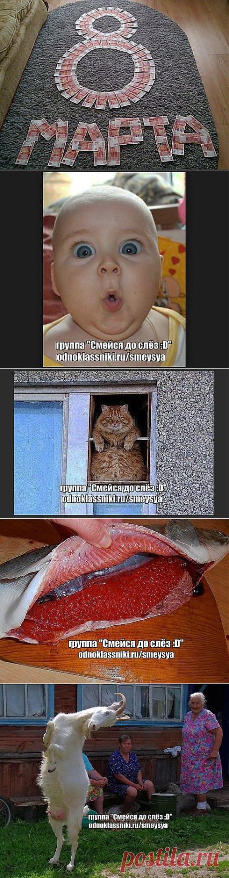 (72) Одноклассники