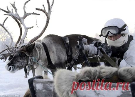 Российская военная база на Александрийском острове | Выживи сам