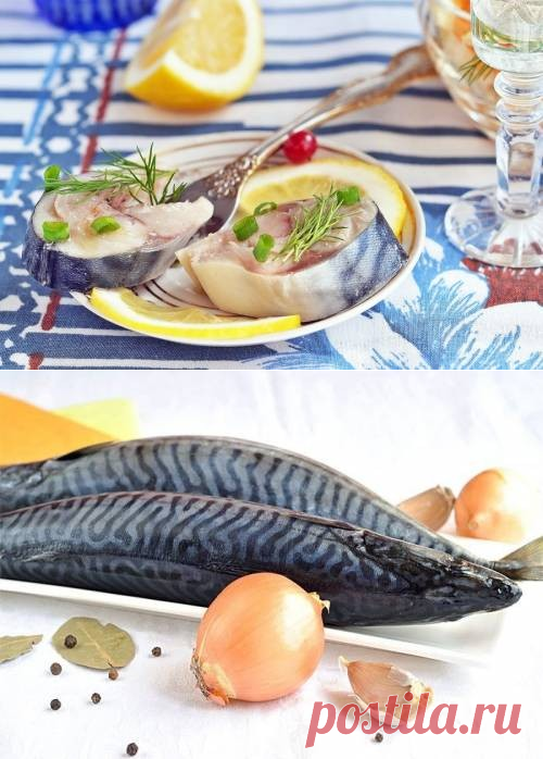Скумбрия маринованная в домашних условиях / Простые рецепты