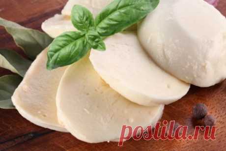 ТОП–12 подборка вкусных домашних сыров