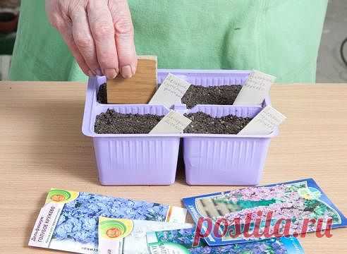 Вам сообщение!