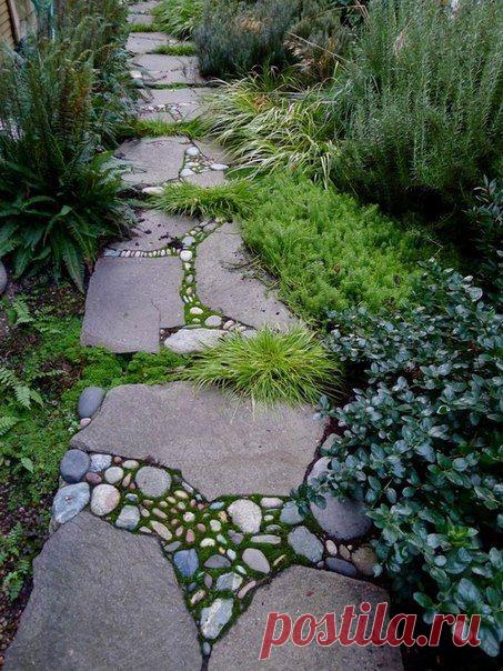 Ландшафт дизайн и растение