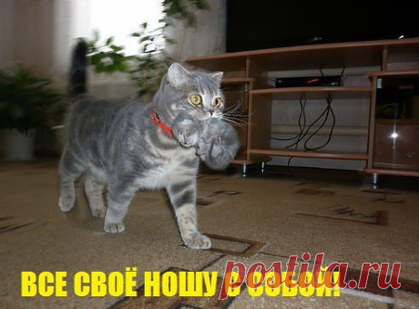 Новости