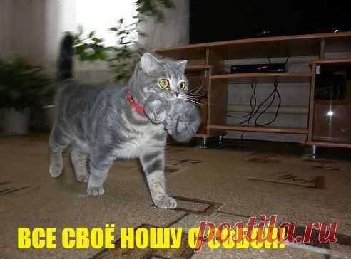 Новости