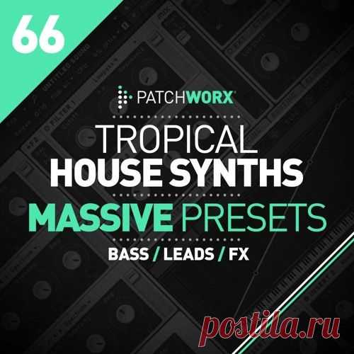 Loopmasters Patchworx Tropical House Synths For Ni MASSiVE NMSV WAV MiDi  | 183 MB

Patchworx 66 - Tropical House Massive Presets is a collection of the chilled out sounds for your beach bar productions created exclusively for Native Instruments Massive soft synth. This Patchworx collection has been produced exclusively for by Maarko and features a host of Synths, Leads, Bases and SFX, all sonically sculpted and ready to drop into your productions.