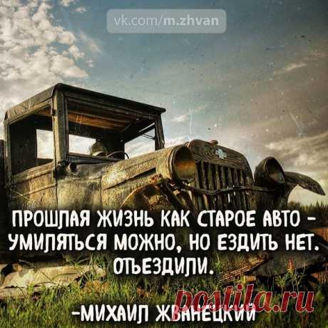 #жванецкий #цитаты