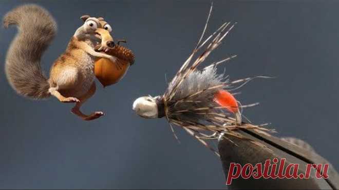 Муха из шкуры Белки. Мягкая аппетитная нимфа на Хариуса и Ленка