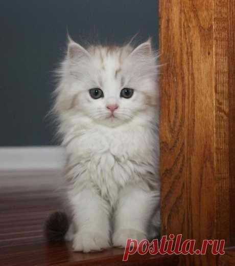 Всем отличного дня