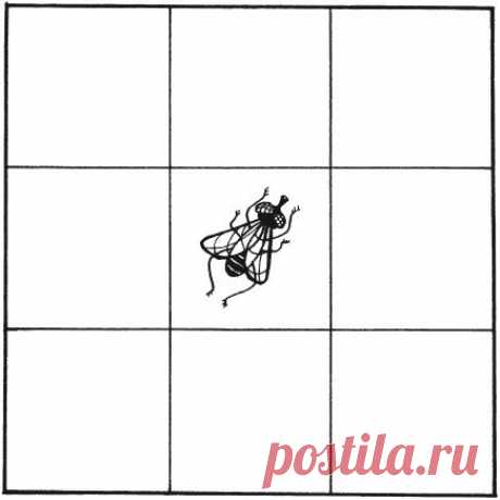 #tematerials_sensory #tematerials_spatial_orientation
ТРЕНАЖЕР ДЛЯ РАЗВИТИЯ ВНИМАНИЯ и ОРИЕНТАЦИИ В ПРОСТРАНСТВЕ "ЛОВЕЦ МУХ" 
Простенькая, веселая и полезная забава. 
Суть проста. Вы определяете размер поля, состоящего из клеточек. Начинать можно с 2*2 для малышей, 3*3 постарше. 
Сама игра: Вы определяете где сидит муха изначально. Потом забираете лист, муху и.... говорите, что муха летает по странной траектории. И поймать ее сложно пресложно!!! почти невозможно! 
У ребенк...