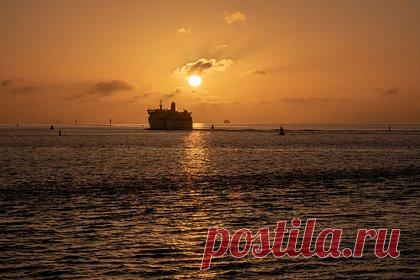 Женщина продала дом ради отменившегося кругосветного круиза и осталась без жилья. Жительница Огайо продала дом, чтобы отправиться в трехлетний кругосветный круиз, который отменился, и осталась без жилья. В рекламе путешественников обещали доставить на все континенты, в 140 стран и 382 порта. Поездка должна была начаться 1 ноября в Стамбуле, но за несколько недель до старта сорвалась.