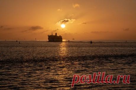 Женщина продала дом ради отменившегося кругосветного круиза и осталась без жилья. Жительница Огайо продала дом, чтобы отправиться в трехлетний кругосветный круиз, который отменился, и осталась без жилья. В рекламе путешественников обещали доставить на все континенты, в 140 стран и 382 порта. Поездка должна была начаться 1 ноября в Стамбуле, но за несколько недель до старта сорвалась.