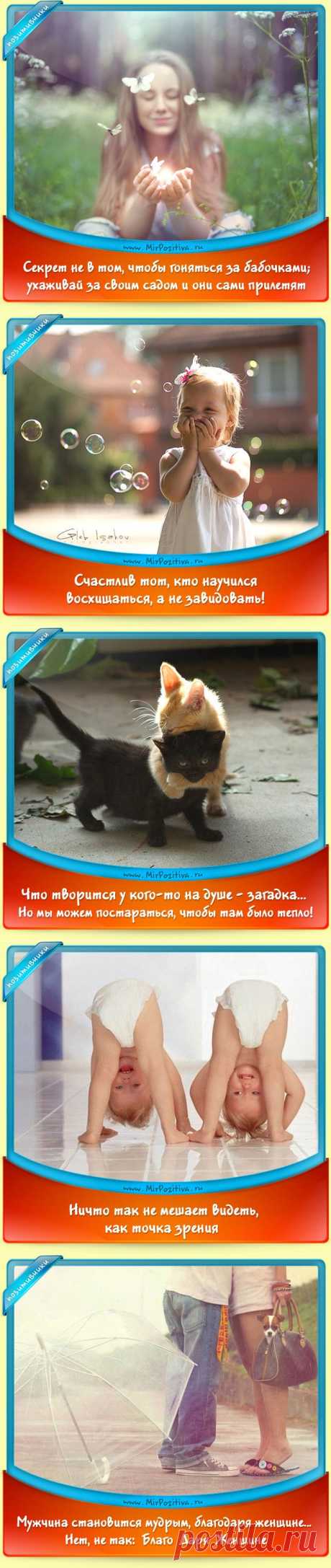 Позитивчики дня!