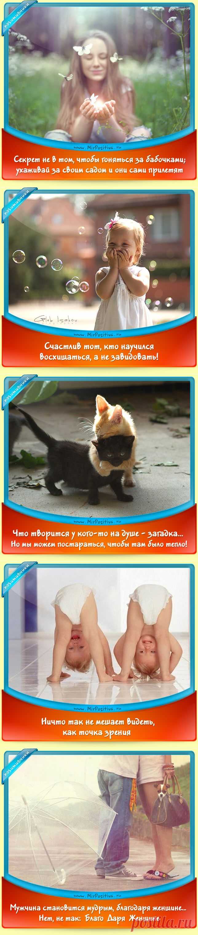 Позитивчики дня!