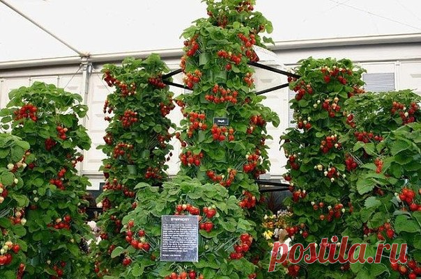 Как сделать вертикальную грядку