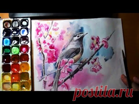 Как нарисовать птичку/ Поэтапный видеоурок акварелью