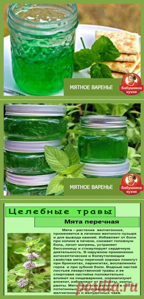 Варенье из мяты: два бабушкиных рецепта