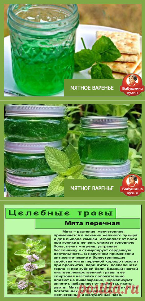Варенье из мяты: два бабушкиных рецепта