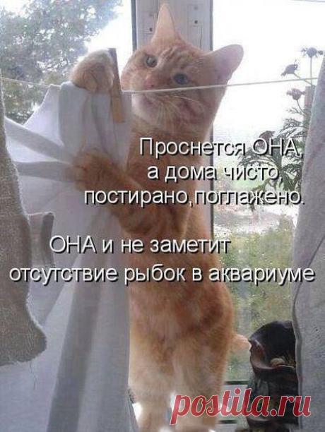 Интересные новости