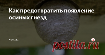 Как предотвратить появление осиных гнезд Этот хитрый трюк навсегда избавит вас от ос на балконе квартиры, террасе загородного дома, в гараже, дровянике и где угодно на вашем участке.