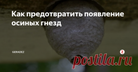 Как предотвратить появление осиных гнезд Этот хитрый трюк навсегда избавит вас от ос на балконе квартиры, террасе загородного дома, в гараже, дровянике и где угодно на вашем участке.