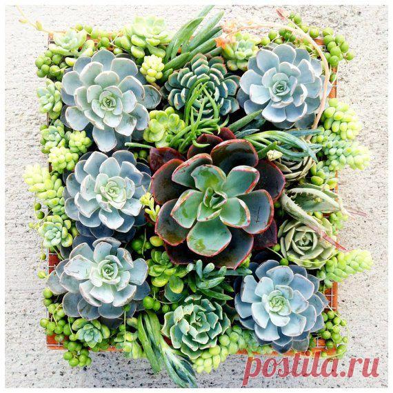 Моя любимая дача. Идеи для декора | Я так вижу