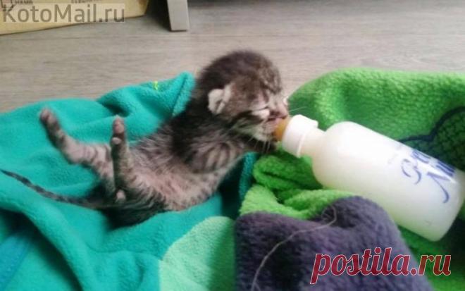 Хочу быстрее вырасти большим