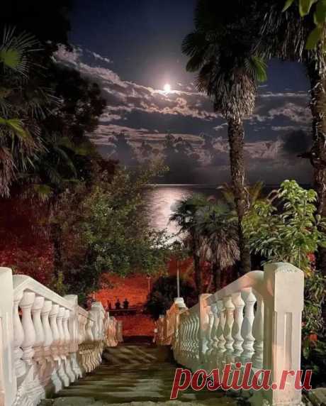 Лестница к морю, Пицунда, #Абхазия 🌴
