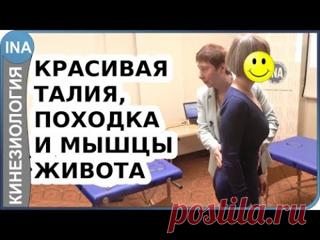 Красивая талия, походка и мышцы живота. Проф. Васильева. Кинезиология