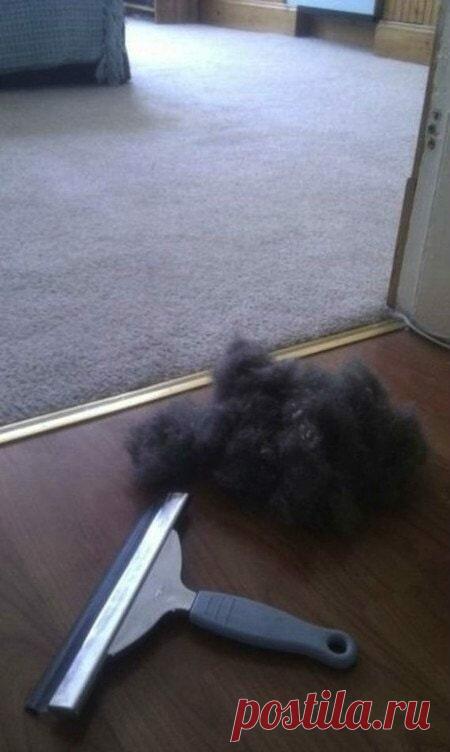 15 полезностей и хитростей для дома | Советы и Лайфхаки | Яндекс Дзен