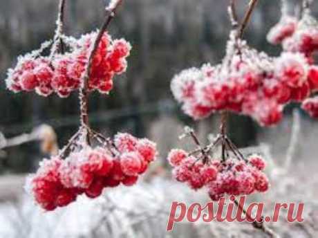 Совпадают ли приметы
