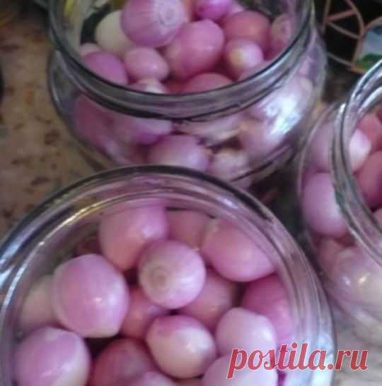 Маринованный лук на зиму | Мамам, женщинам, бабушкам и очень любознательным.