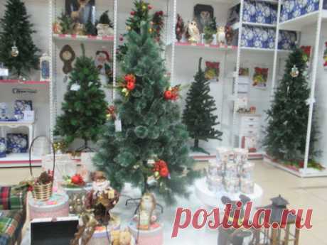 Svetlana Bolotova – Google+