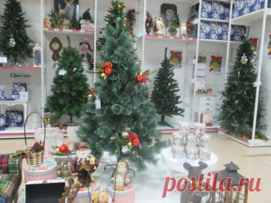 Svetlana Bolotova – Google+