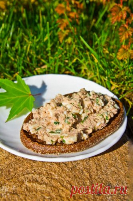 12 лучших паст для бутербродов: быстро, вкусно, полезно | MediaDum