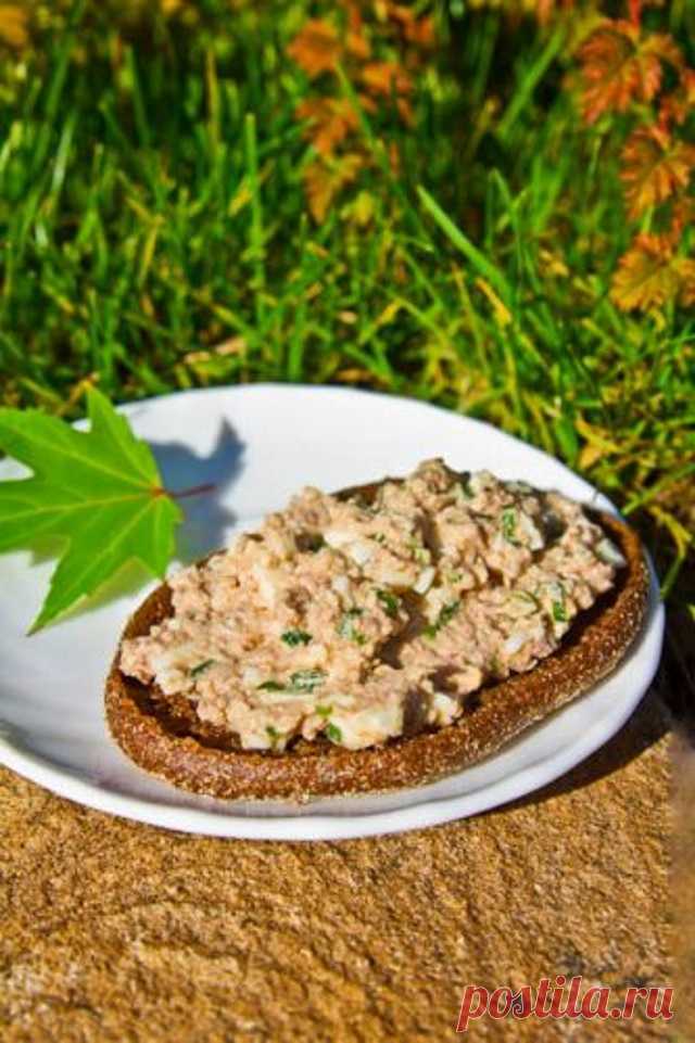 12 лучших паст для бутербродов: быстро, вкусно, полезно | MediaDum