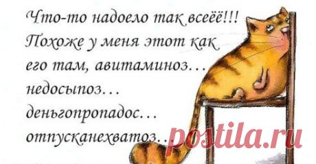 Вы узнаете себя ? Тогда мы идем к Вам! Мы знаем как сделать это былью!