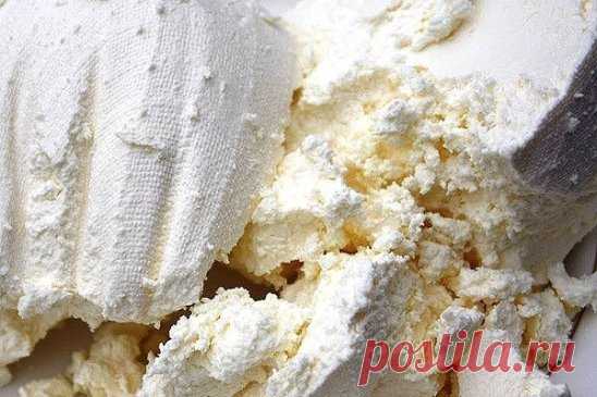 5 полезных фактов про творог.
Творог может быть очень полезным и важным компонентом в меню бодибилдера и любого спортсмена. 5 важных фактов о твороге помогут принять решение включить его в свой рацион.
1. Сыры могут быть мягкими и твердыми. Творог или домашний сыр относится к мягким сырам. Творог очень просто готовится из молока. После этого его в отличие от других сыров не подвергают прессованию и длительной выдержке. Главная особенность творога - это высокое содержание молочного белка казеин