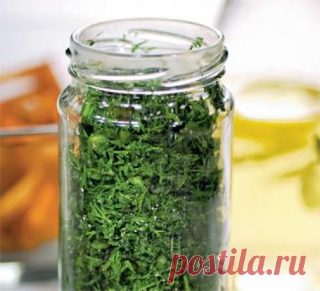 Укроп на зиму, заготовка. Пошаговый рецепт с фото на Gastronom.ru