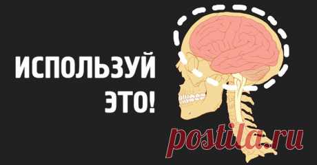 Эти 5 фактов о мозге изменят вашу жизнь навсегда! — Настройка Здоровья