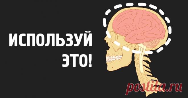 Эти 5 фактов о мозге изменят вашу жизнь навсегда! — Настройка Здоровья