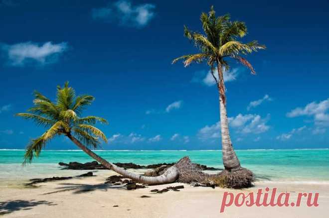 Удивительный остров Мадагаскар - Путешествуем вместе