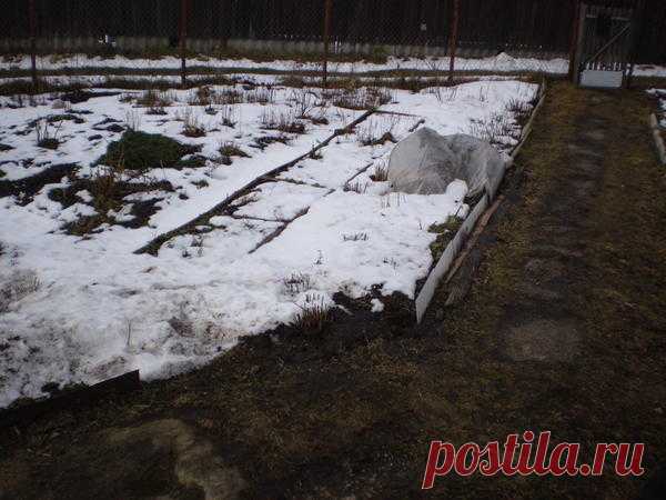 Какие цветы посадить вдоль дорожки? Какие многолетние цветы можно посадить вдоль дорожки, чтобы они не затеняли друг друга. Солнце целый день слева от дорожки, и днем на этом участке небольшая тень от яблони.
        Вопрос размещен в р…