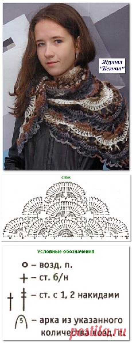 Бактус ажурный