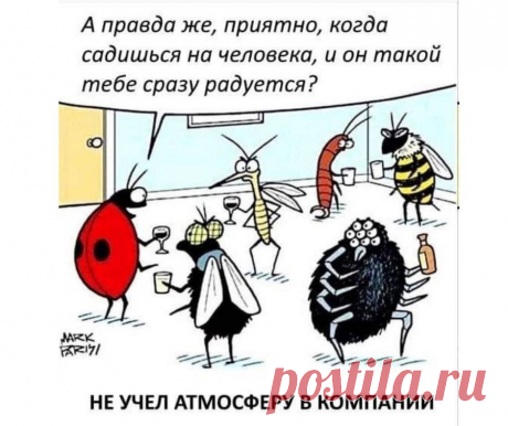🐞🕸🕷🦂🐝🐜🦗🦟🐛🐌🦋
