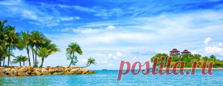 Море и пальмы картинки и анимации, фотографии морских берегов с пальмами