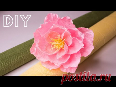 Пион из гофробумаги мастер-класс  / DIY Crepe paper peony - YouTube

Добрый день мои друзья. Сегодня покажу вам как из гофрированной бумаги сделать красивый воздушный пион. Мне кажется пионы нравятся всем и конечно они могут стать центром вашей композиции или букета.